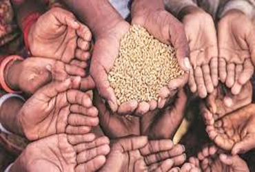 mission-and-goals-of-kuncha-foundation